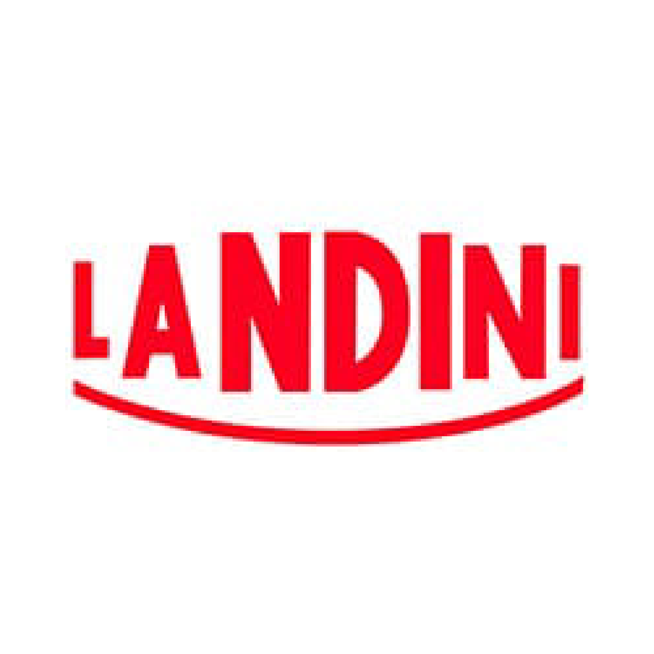 landini logo